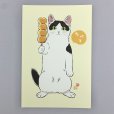 画像1: 元祖ふとねこ堂／はがき・お団子たべて (1)