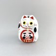 画像1: ［練物］鈴幸人形店／猫だるま（前） (1)