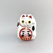 画像1: ［練物］鈴幸人形店／猫だるま（前） (1)