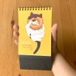画像10: ［カレンダー］ 元祖ふとねこ堂『おやつねこ暦２０２６』 (10)